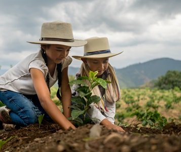 Agriculture Tourism